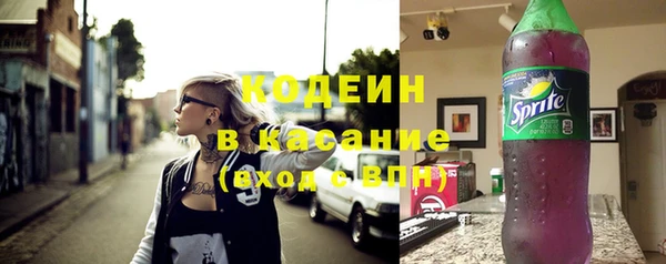 крисы Баксан