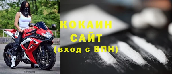 крисы Баксан