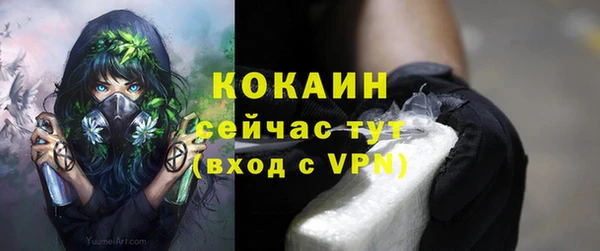 стаф Балахна