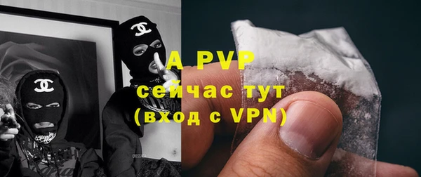стаф Балахна