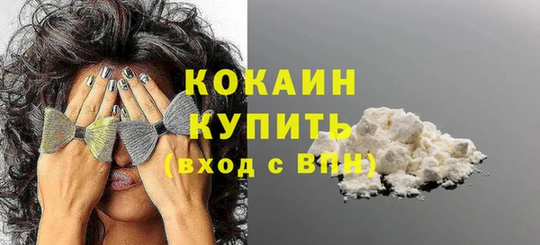крисы Баксан