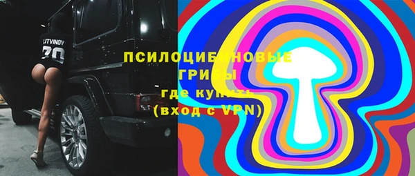 прущие грибы Михайлов