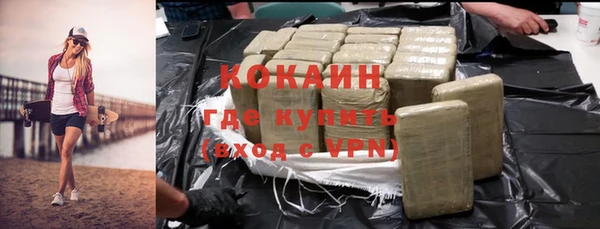 крисы Баксан
