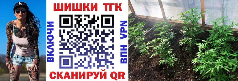 Бошки марихуана THC 21%  Купить  Миллерово 